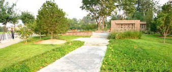 北京桃園園林綠化工程實景組圖賞析